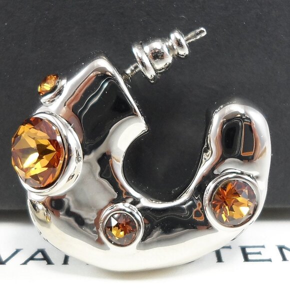 NWT$725 Dries Van Noten Brass Silver Colored Crystal Embellished Hoop Earrings - Picture 12 of 16